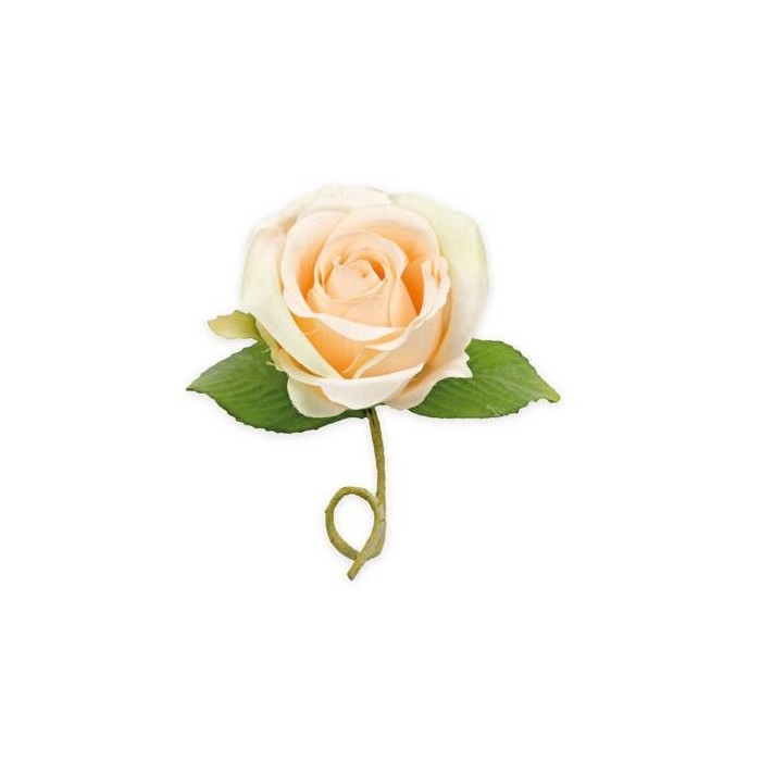 ROSELLINA CDUE FOGLIE CIPRIA